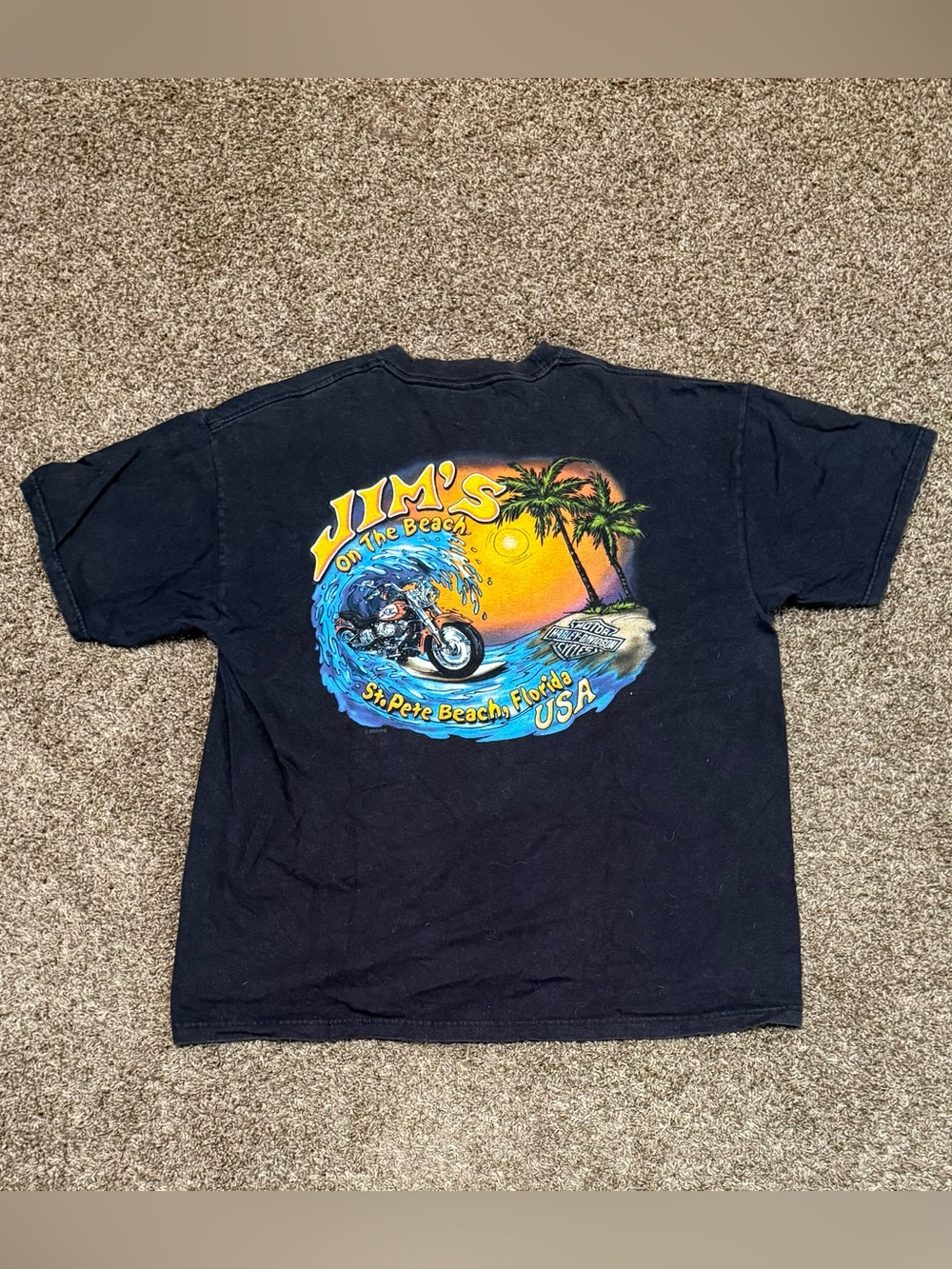 Harley-Davidson Men's XL T-Shirt 2006 Vintage Y2K, Daytona Florida Bike Week